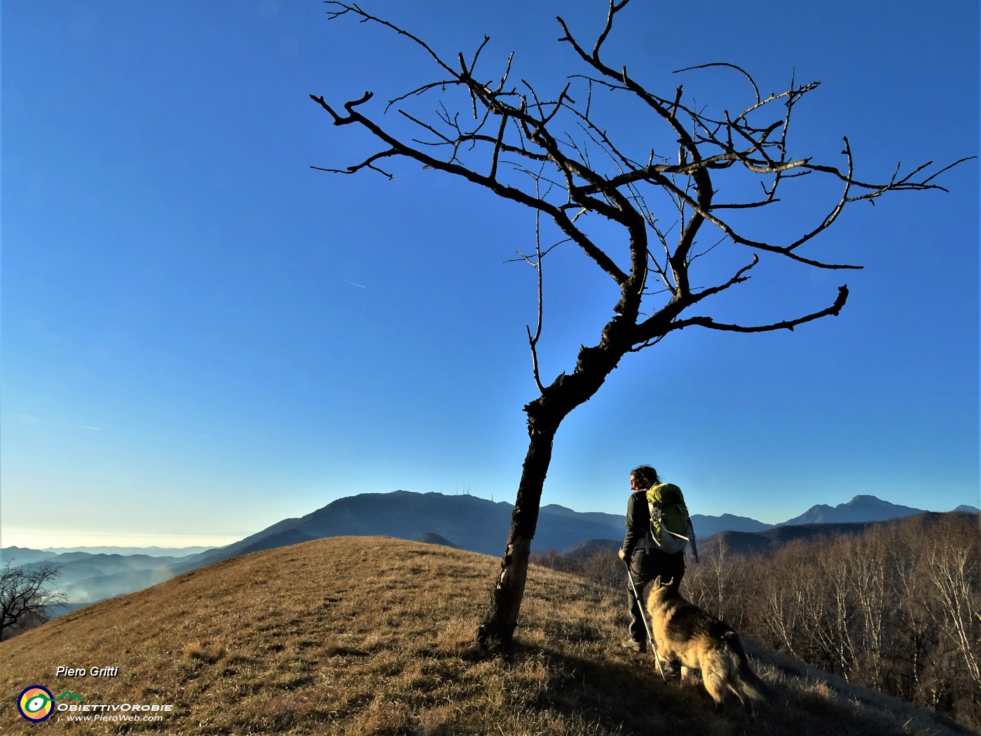 64 Svettano verso il cielo i rami spogli .JPG -                                